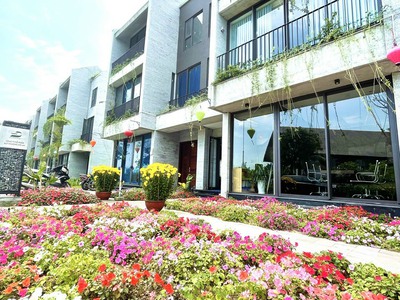 Sỡ hữu biệt thự Hội An 4PN, view rừng dừa - KD lưu trú 5TR/Đêm, hơn 8 năm hoàn vốn 8
