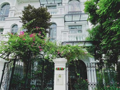 Bt song lập geleximco lê trọng tấn 266m2 thang máy, hồ cá koi, view công viên hơn 19 tỷ 0