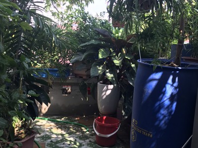 Cho thuê nhà 5 tầng 6 ngủ đại phúc thành phố bâc ninh 4