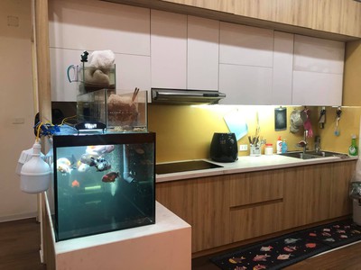 Bán nhanh căn hộ 63m full nội thất tầng 15 tại HH Linh Đàm hỗ trợ vay bank 0