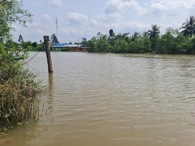 Bán đất lộ sông Bến Bạ đường Nguyễn Văn Quy Dt 269m2 thổ cư 100 giá 2,4 tỷ 3