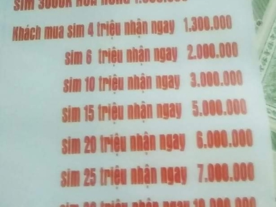 Chuyên cung cấp sim tuổi và sim dễ nhớ cho Anh em 0