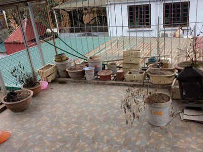 Chính chủ bán nhà tập thể tầng 2 khu nguyễn an ninh trương định hoàng mai hà nội 0