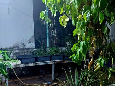 Thùng dell i5 gen 10 ram 4g 302