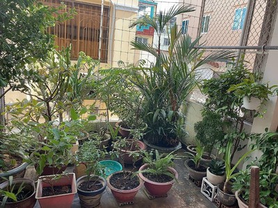 Bà Tám Bán Nhà Phạm Thế Hiển P4 Q8 60m2 chưa tới 2 tỷ SHR 2