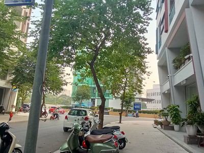 Bán biệt thự liền kề kđt dịch vọng, 100m, mt 6m, vừa ở vừa kinh doanh, 31 tỷ 1