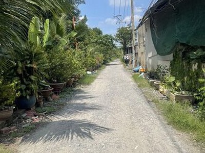 Cần bán nhà đất đường vườn thơn, xã bình lợi, huyện bình chánh 1