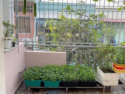 Bán nhà Q8 đầu đường Âu Dương Lân 88m2, ngang 4,5m dài 21m 0