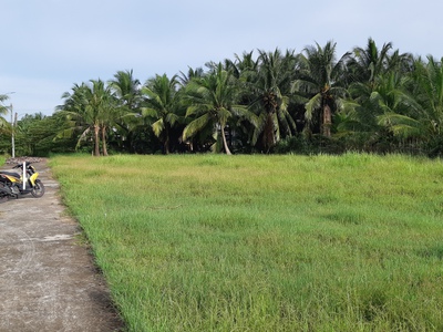 Bán lô đất thổ cư 105m2 -- sau khu công nghiệp Tân Hương Tiền Giang 0