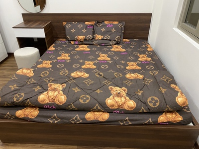 Bán nhà mới đẹp 70/33 Nguyễn Du 7