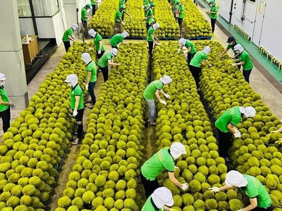 Pallet nhựa cũ tại Bình Phước, miễn phí giao hàng tận nơi Hiện nay trê 5