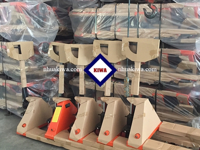 Xe nâng tay tại bình dương giá rẻ - mới 100 12