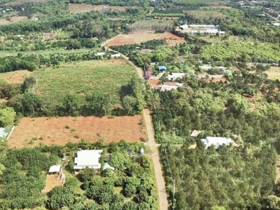 Bán đất tại Phú Riềng giá ngộp giá F0 đầu tư sinh lời bao lợi nhuận 1