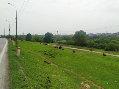 Bán đất nông nghiệp , xen kẹt xã: Ngũ Hiệp-Đông Mỹ-Yên Mỹ-Liên Ninh-Tả Thanh Oai-Thanh Trì 2