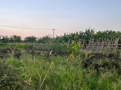 Bán đất nông nghiệp , xen kẹt xã: Ngũ Hiệp-Đông Mỹ-Yên Mỹ-Liên Ninh-Tả Thanh Oai-Thanh Trì 1