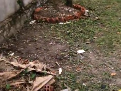 - Cần bán gấp một căn nhà hẻm Trần quý cáp , phường An Bình , Rạch Giá Kiên Giang . 0