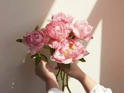 Máy xông tinh dầu và những ưu đãi 1