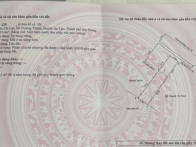 Chuyển Nhượng 3 lô Đất Mặt Đường   Thôn Chi Lai  Xã Trường Thành   Huyện An Lão  HP 2