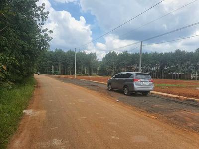 Bán gấp đất 500m2 tại bình phươc sổ sẵn giá 580 triệu 0
