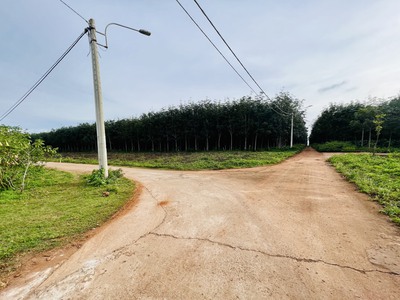 Cơ hội vàng cuối năm 2022 dành cho ndt quan tâm daklak đất nền trung tâm hành chính mới chỉ 899tr 2