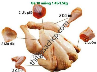 Cung cấp thịt gà tươi CP 11