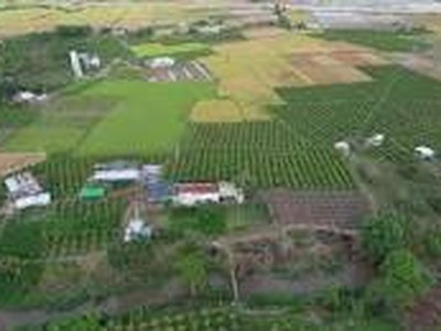 Chính chủ cần bán lô đất ở xã Hồng Liêm-hàm Thuận Bắc, giá cả phải chăng 1