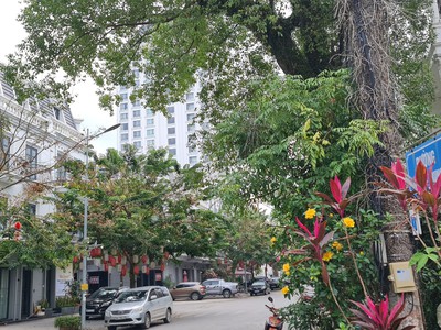 Bán gấp nhà liền kề 4 tầng vinhomes lạng sơn, tp lạng sơn - mtg 0