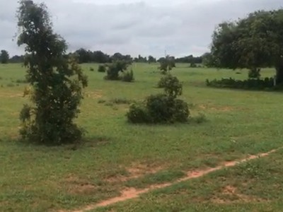 8459,3m2 đất gần QL1A, điện nước đầy đủ, giá 145k/m2 - Đất trên sổ-SHR 0