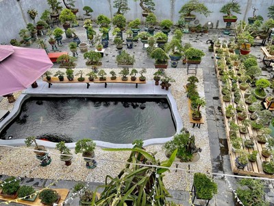 Biệt thự tôn đản, 600m2, sân vườn 450m2, mới, hiện đại, gara oto, hồ cá koi, chỉ 9.9 tỷ. lh 3