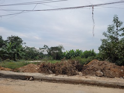 Gia Đình Tôi cần Bán mảnh đất tại Làng Mấu, Tam Quan, Tam Đảo.dt 250m2 giá nhỉnh 2ty 1