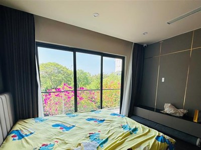 Biệt thự sân vườn Sao Đỏ 200m ngay gần Cầu Võ Nguyên Giáp GIÁ 15.5 tỉ 1