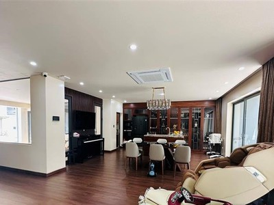 Biệt thự sân vườn Sao Đỏ 200m ngay gần Cầu Võ Nguyên Giáp GIÁ 15.5 tỉ 3