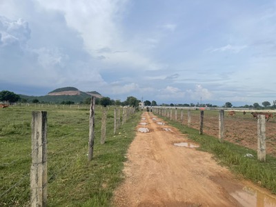 Đất vườn Sổ riêng, đối diện cổng KDL SAFARI chỉ 600m, điện nước đầy đủ 2