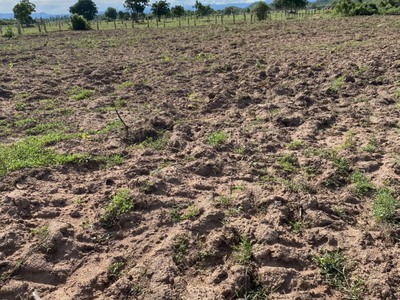 Đất vườn Sổ riêng, đối diện cổng KDL SAFARI chỉ 600m, điện nước đầy đủ 1