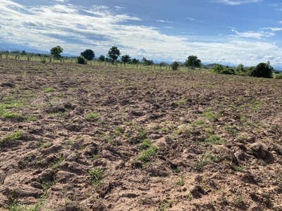 Đất vườn Sổ riêng, đối diện cổng KDL SAFARI chỉ 600m, điện nước đầy đủ 0