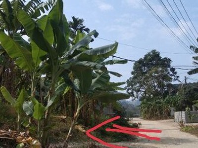Chính chủ bán đất tại tổ 7, thị trấn việt quang, huyện bắc quang, tỉnh hà giang 0