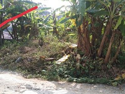 Chính chủ bán đất tại tổ 7, thị trấn việt quang, huyện bắc quang, tỉnh hà giang 2