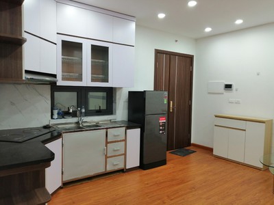 Cho thuê căn hộ Season Avenue Mỗ Lao, S 78m2, 2PN, đủ đồ, giá 13,5tr/tháng 0