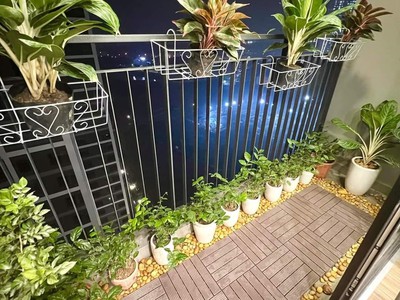 Cho Thuê  căn hộ 2PN phân khu Sakura thiết kế phong cách homestay - Vinhomes Smart City 0