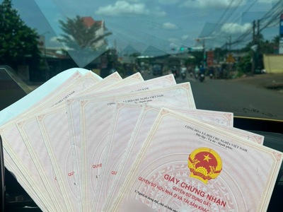 Gia đình tôi cuối năm cần tiền nên bán gấp lô đất mt đường nhựa 24m 4