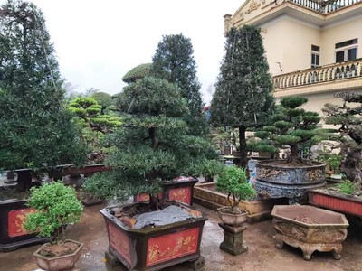 Chính chủ cần bán hoặc cho thuê đất lâu dài có sẵn 1 căn nhà 2 tầng 1