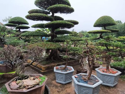 Chính chủ cần bán hoặc cho thuê đất lâu dài có sẵn 1 căn nhà 2 tầng 2