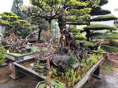 Chính chủ cần bán hoặc cho thuê đất lâu dài có sẵn 1 căn nhà 2 tầng 3