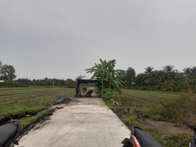 Bán 1,2công đất Long Hoà A,Long Định,Châu Thành,Tiền Giang 1
