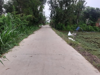 Bán 1,2công đất Long Hoà A,Long Định,Châu Thành,Tiền Giang 0
