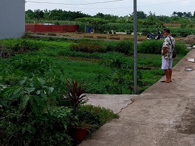 Chính chủ cần bán lô góc đẹp hoàng long, đặng xá, gia lâm, hà nội 2