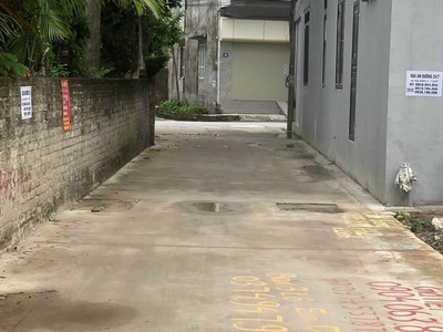 Bán đất tại Quỳnh Hoàng,Nam Sơn,An Dương Hải Phòng 8
