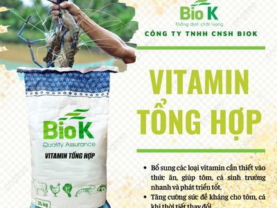 Vitamin tổng hợp dạng bột  Hỗn hợp vitamin chống sốc cho tôm, cá 0
