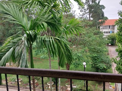 Biệt thự đã hoàn thiện 260m2 view vườn hoa rẻ nhất KĐT Quang Minh.Chủ cần bán nhanh giá 15,8 tỷ 0
