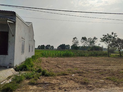 Chính chủ cần bán đất tại gò tròn, cụm 4, xã tân lập, huyện đan phượng 0